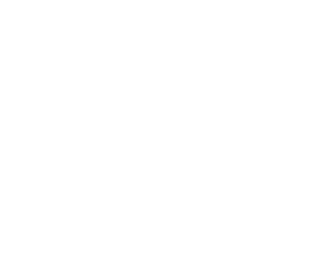 Executive nails spa website white Logo